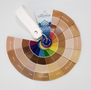 The Flesh Tone Fan by Terri Tomlinson